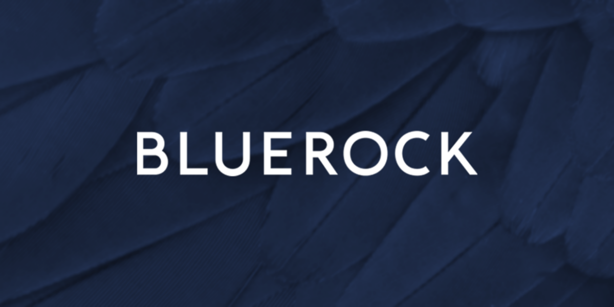 Bluerock Operations LTD