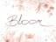 Bloom Restaurant